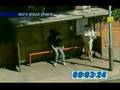 Balls Of Steel - Neg's Urban Sports - Make Them Move