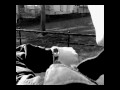 Katso video