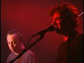 Ween - Tender Situation