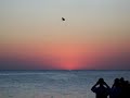 sunset at famous cafe del mar, san antonio, ibiza