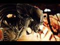 Alien/Xenomorph tribute Alien/Xenomorph tribute