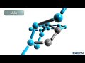Exiqon Micro RNA Analysis