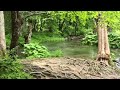 Vízesések Plitvicén - wwwplitvicehu