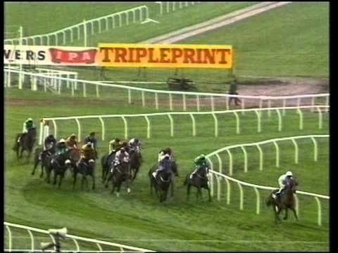 cheltenham race