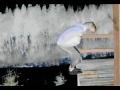 Click here to watch this video Bartek Orłowski.2004