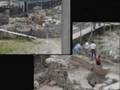 Athens Acropolis New Museum Archaeological Committee