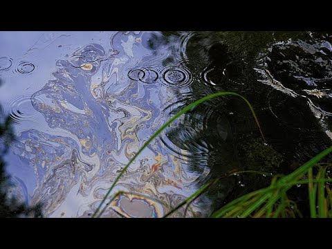 Deutschland und die Umwelt: Innovative Ideen und Projekte zum Schutz und Erhalt der Ostse