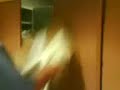 la vienvenida al bimbo ala mss imss ci