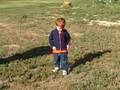 Almost four-year-old boy chasing grasshoppers