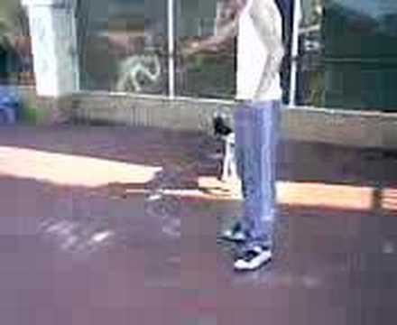 pit bull mexicano