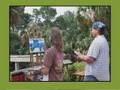Florida's Forgotten Coast Plein Air Invitational