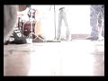 Conspiração Duende - Revelações Arbóreas