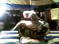 videos de vaquero yeah