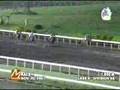 Nov-20-2007-Races-SL