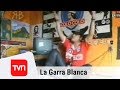 Documental Garra Blanca