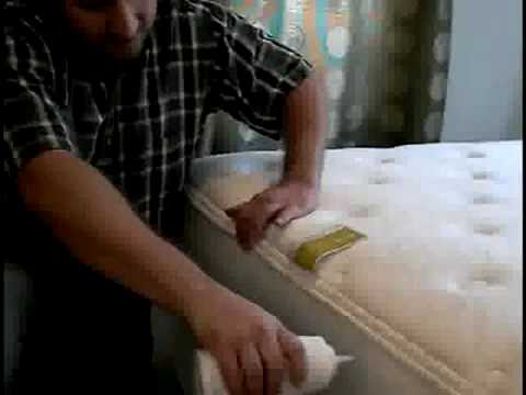 how to remove bed bugs from a bed