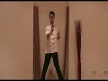 Siu Lim Tao - Sifu Dusan Drazic