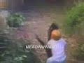 Cat attacking a dude