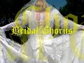The Famous Bridal Chorus by Richard Wagner from his Romantic Opera Lohengrin composed in 1848. Also known as the Wedding March or simply as - Here comes the Bride. This well known wedding processional march is played here on Technics electronic PR60 Keyboard in synthesised church organ mode by Transgendered Musician - Denise Hewitt - wearing full white lace wedding costume, tiara and veil.In Lohengrin, the wedding party sing:Faithfully guided, draw near to where the blessing of love shall preserve you! Triumphant courage, the reward of love, joins you in faith as the happiest of couples! Champion of virtue, proceed! Jewel of youth, proceed! Flee now the splendour of the wedding feast, may the delights of the heart be yours! This sweet-smelling room, decked for love, now takes you in, away from the splendour. Faithfully guided, draw now near to where the blessing of love shall preserve you! Triumphant courage, love so pure, joins you in faith as the happiest of couples!