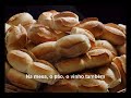 fernanda brum pao e vinho.wmv