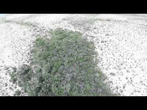6,962 acres Alpine, TX