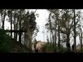 Novo RoadGap @ FreeRideBraga
