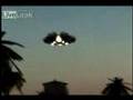 UfO OVER HAITI UfO OVER HAITI