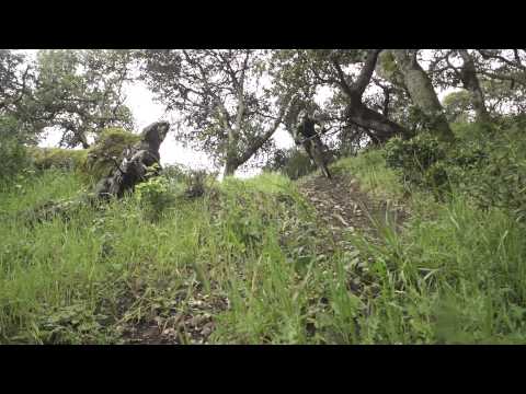 Cannondale Habit Carbon 2