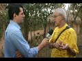 Entrevista do Professor Jos� Jorge para Rede Bobo