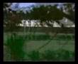 videos de Tampok Manggis Consultant Part 2