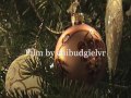 Tom and Jerry Christmas - With real animals!