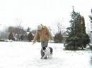 Nik� - Xmas Dog Dancing