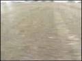 videos de Live Challenge - 4 roue
