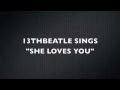 SHE LOVES YOU-BEATLES COVER