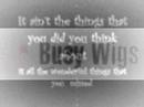 Shameless Bachelor - The Busy Wigs Shameless Bachelor - The Busy Wigs