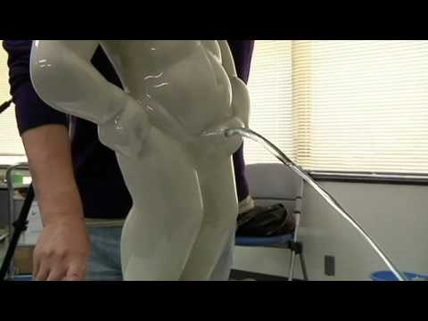 Sega