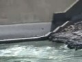 Arrowrock Dam - Idaho