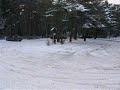 Rumalbern im Schnee
