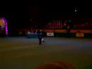 Crufts 2008 - Heelwork to Music Competition 4 (2)