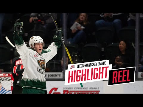 2019-20 HIGHLIGHT REEL | Michal Gut