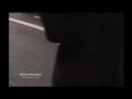 videos de Lost dog takes Cremyll ferry ride home