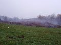 Lisieux (France) November 2008 Last Charge