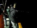 Giant Humboldt Squid fishing in Oxnard
