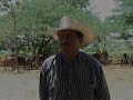 Click here to watch this video En el sur de Honduras, hatos ganaderos en buenas condiciones