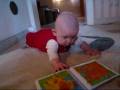 videos de runt.wmv