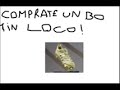 la banda de lechuga el candado