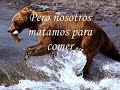 ya no mas porfavor