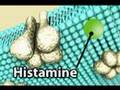heartburn treatment, heartburn relief