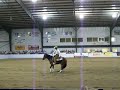 The Tradition Futurity 2008
