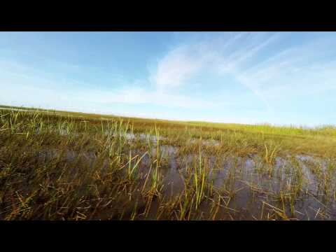 Gator Park - Florida - Everglades - GoPro Hero 4